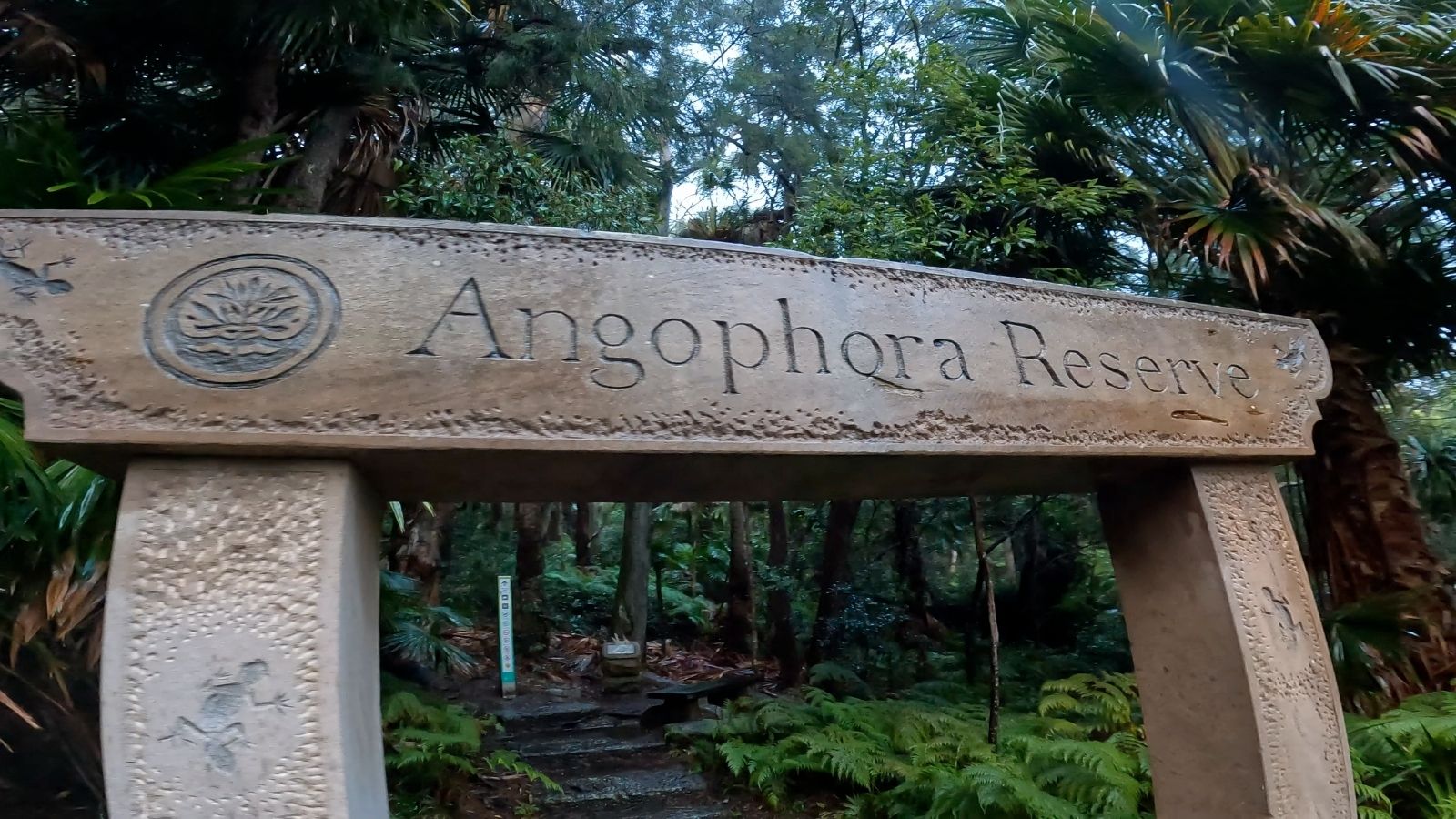 Angophora Reserve on the Bilgola 500 course