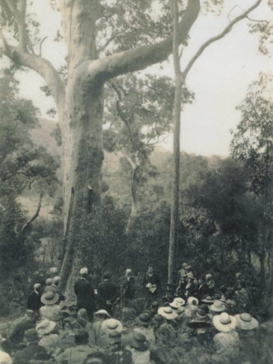 Historic newspaper photograph showing the public launch of Angophora Reserve
