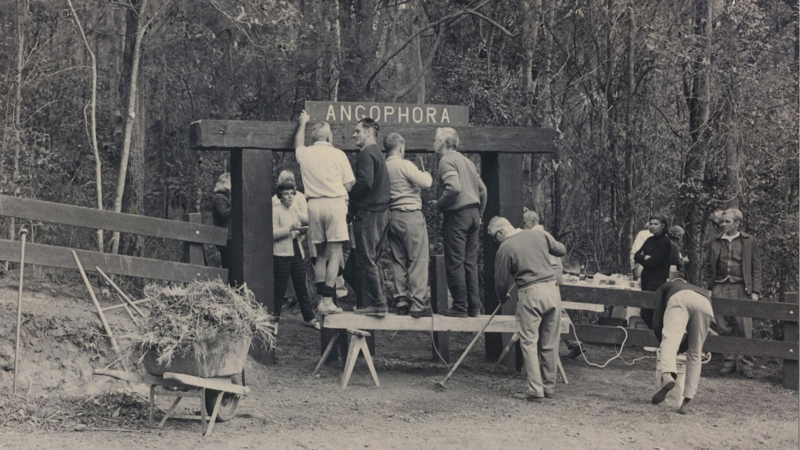 Construction of the Angophora Reserve gateway sign at the Palmgrove Road entrance in Avalon in 1968