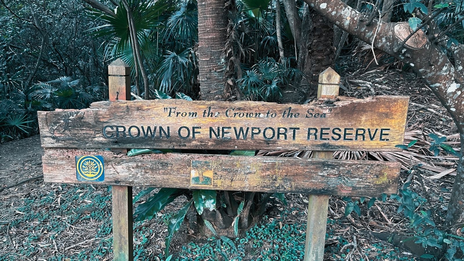Crown of Newport on the Bilgola 500 course