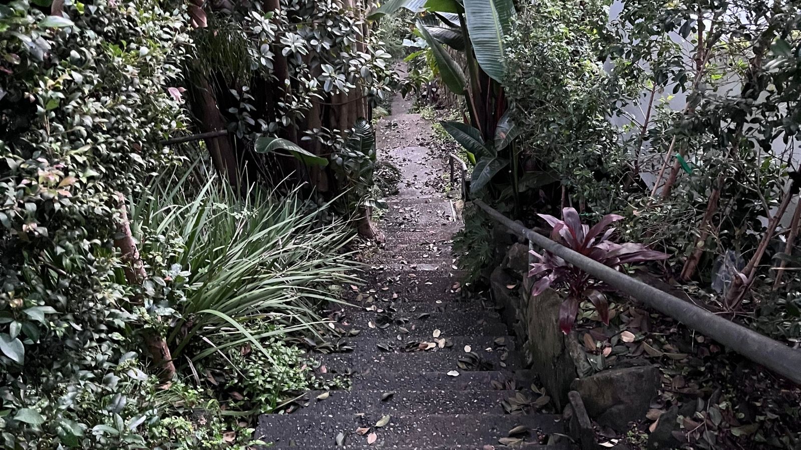 Steps of Wandeena