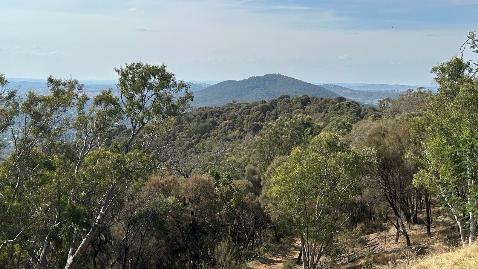 Final climb back toward the Mount Ainslie lookout carpark