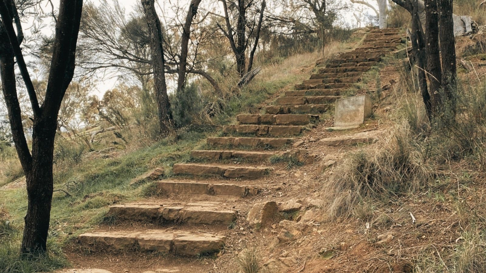 Mount Ainslie Kokoda Track climb