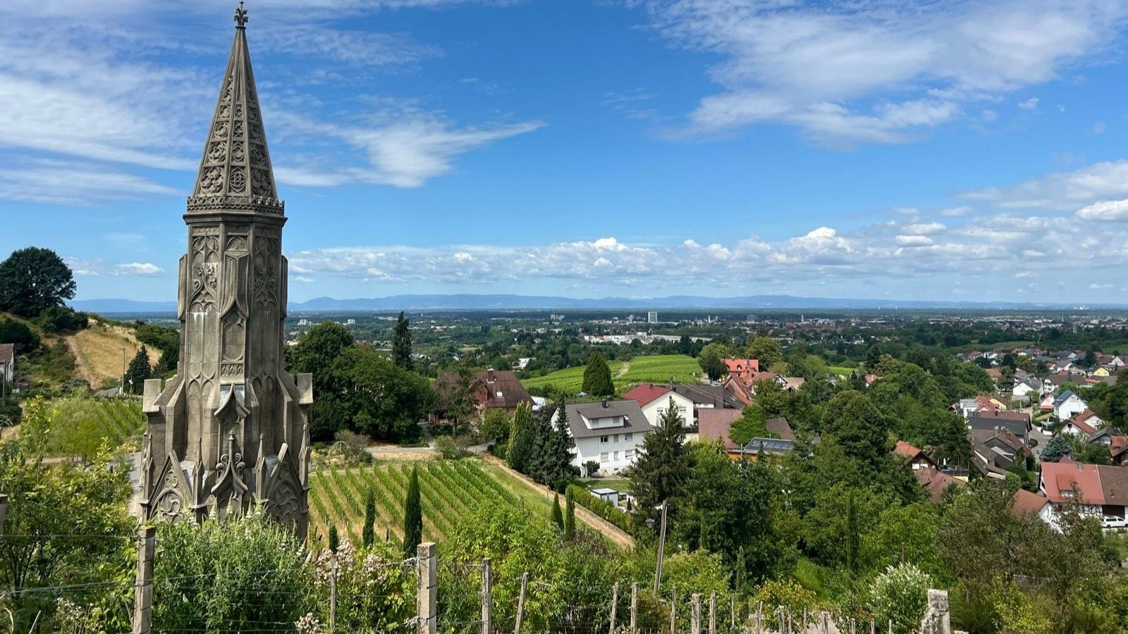 Vineyards around Fessenbach