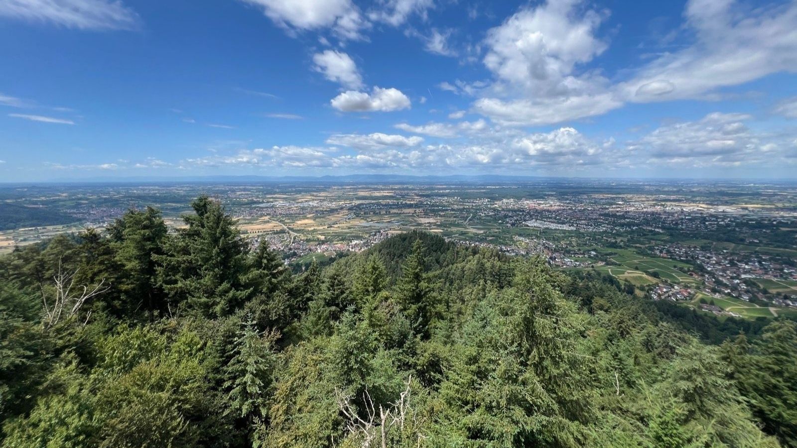 Hohes Horn near Offenburg