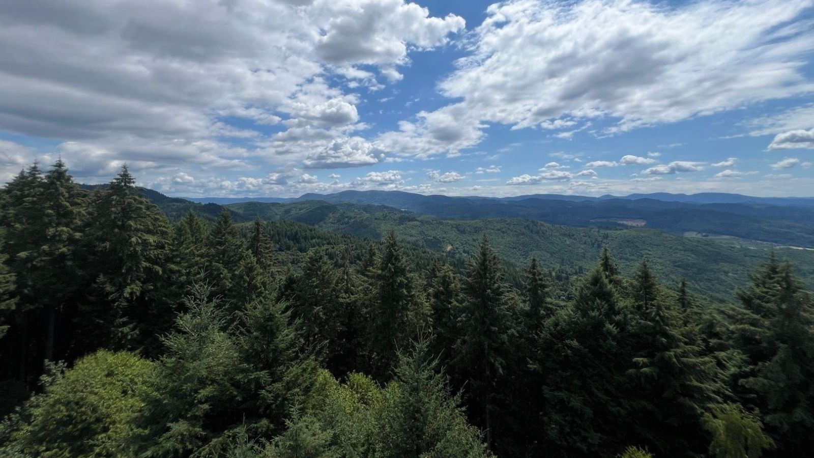 Views over the Black Forest near Offenburg